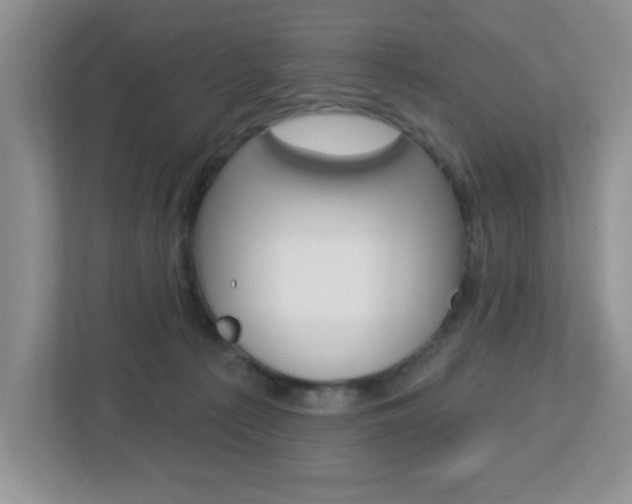 X0000112760225200908201040