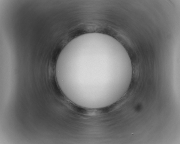 X0000112760226200908201040