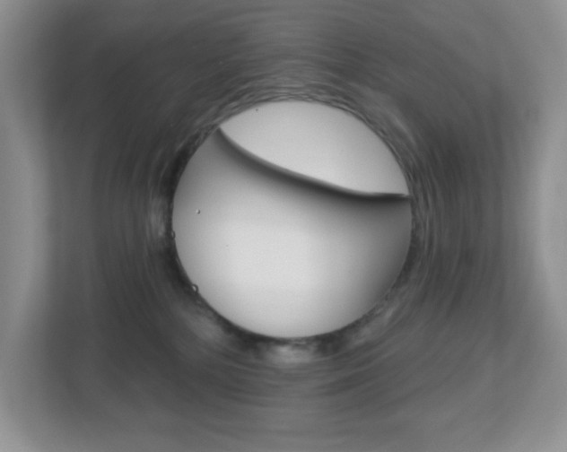 X0000112760232200908201040