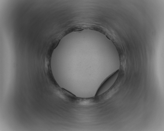 X0000112760235200908201040