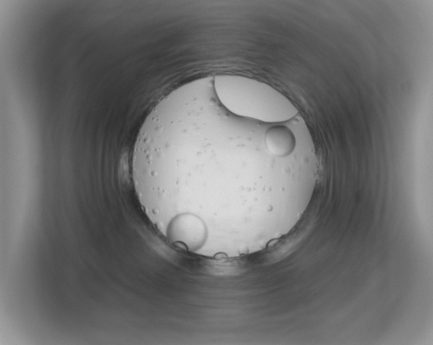 X0000112760238200908201040