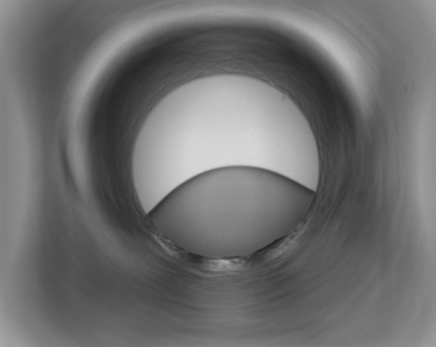 X0000112760239200908201040