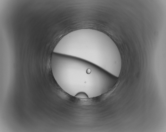 X0000112760240200908201040