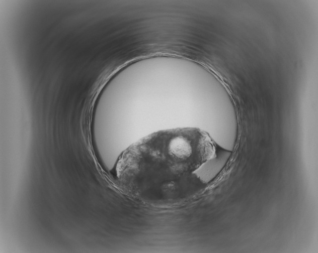 X0000112760241200908201039