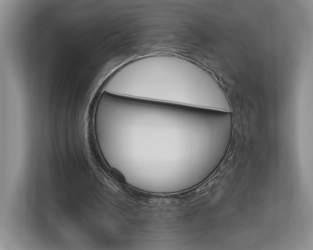 X0000112760242200908201039