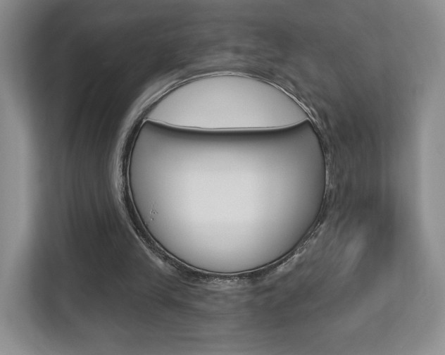 X0000112760245200908201039