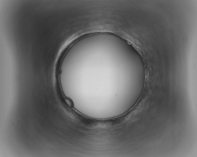 X0000112760248200908201039