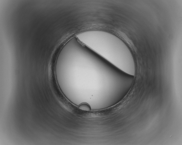 X0000112760250200908201039