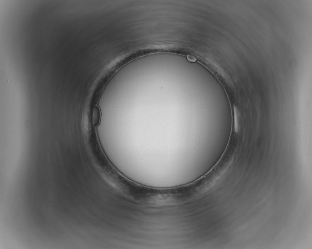 X0000112760252200908201039