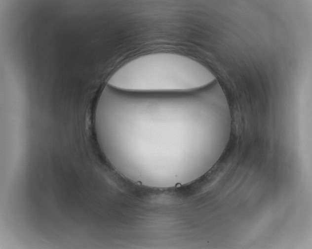 X0000112760259200908201039