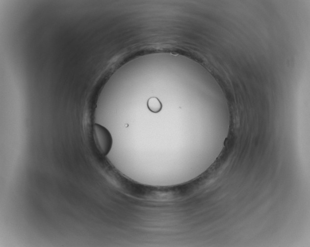 X0000112760260200908201039