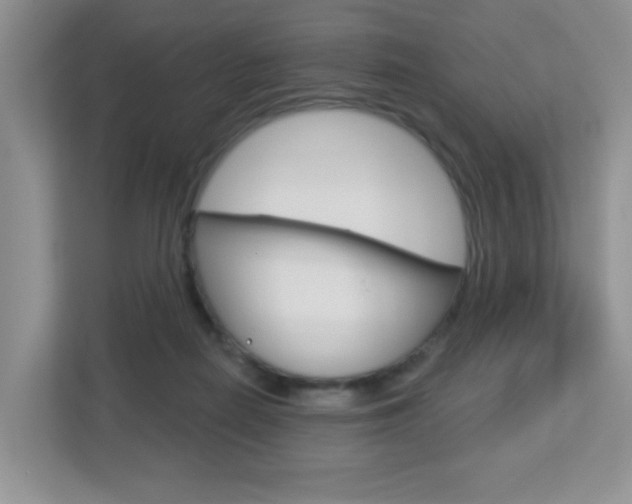 X0000112760266200908201039