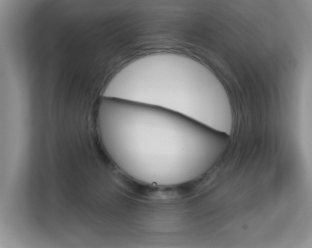 X0000112760270200908201040