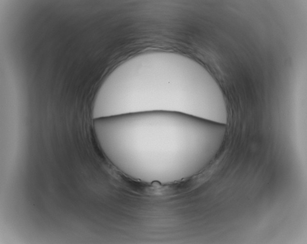 X0000112760273200908201040