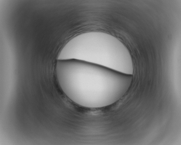 X0000112760278200908201040