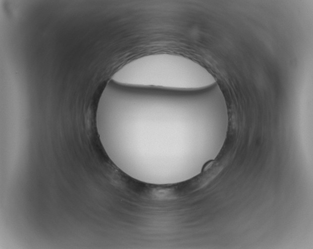 X0000112760283200908201040