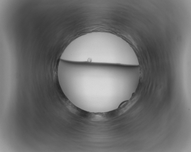 X0000112760285200908201040