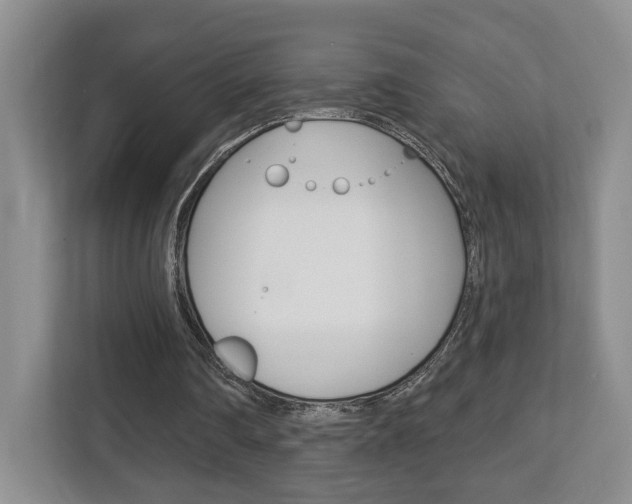 X0000112760290200908201039