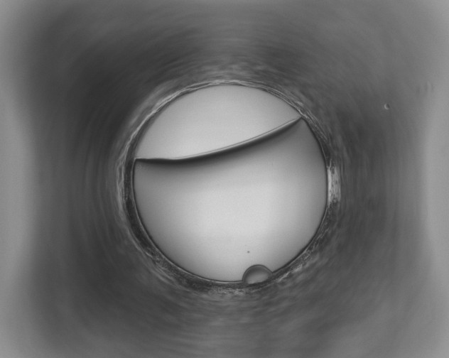 X0000112760291200908201039
