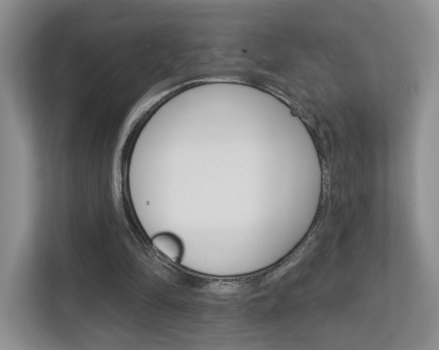 X0000112760294200908201039
