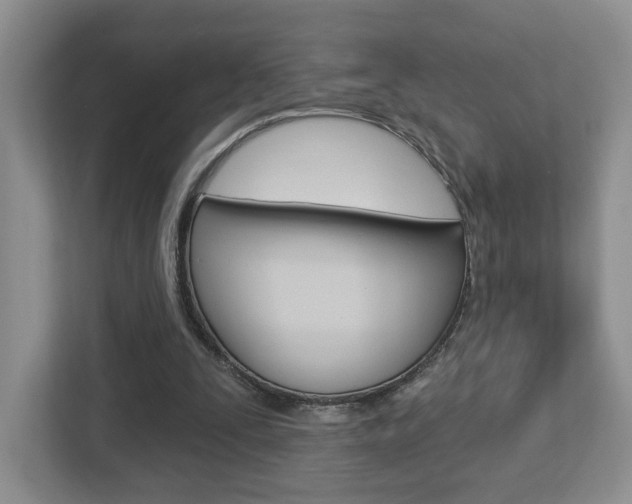 X0000112760295200908201039
