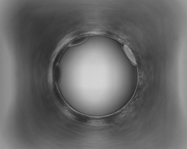 X0000112760296200908201039