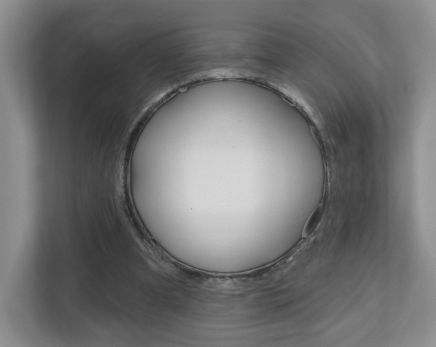 X0000112760297200908201039
