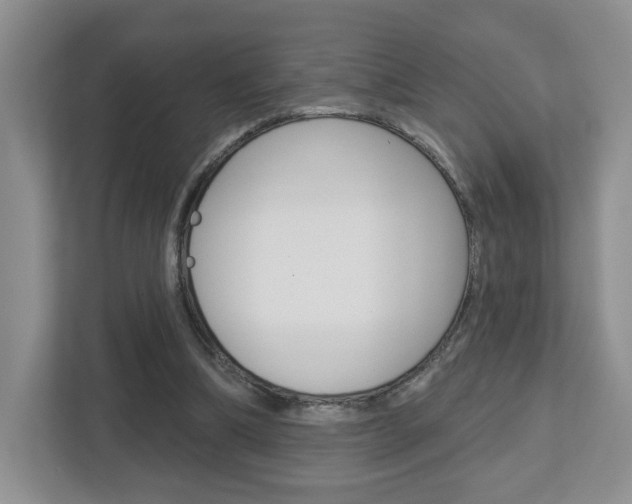 X0000112760298200908201039
