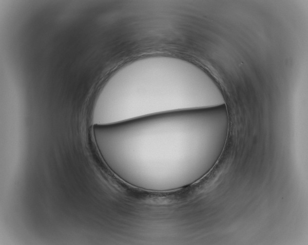 X0000112760299200908201039