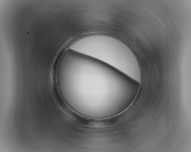 X0000112760300200908201039
