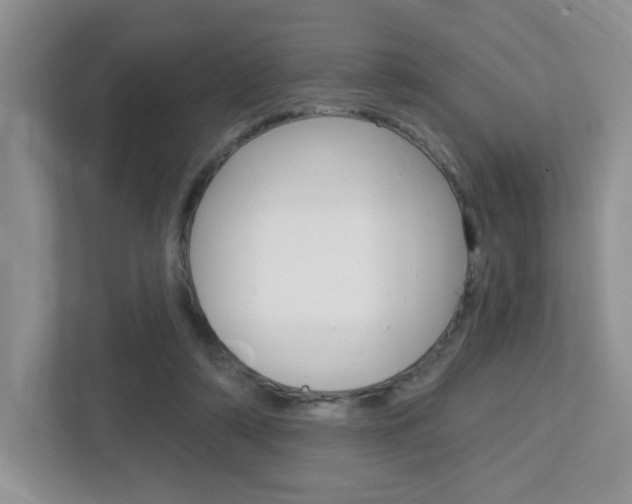 X0000112760306200908201039
