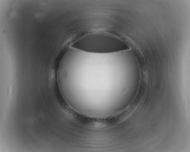 X0000112760308200908201039