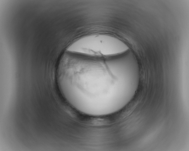 X0000112760315200908201039