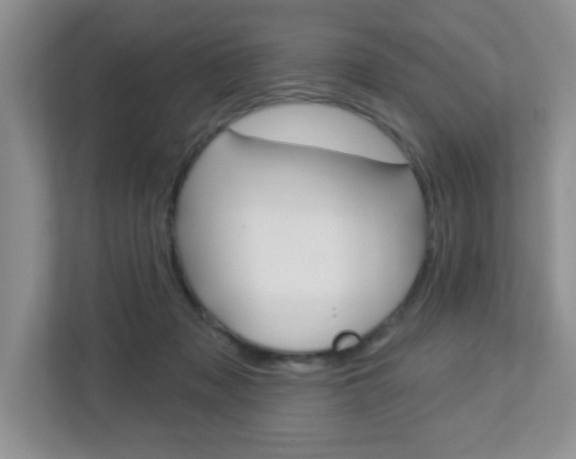 X0000112760317200908201039