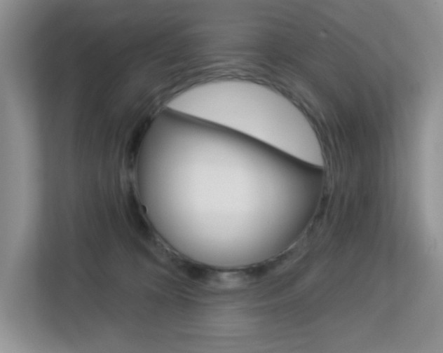 X0000112760324200908201039