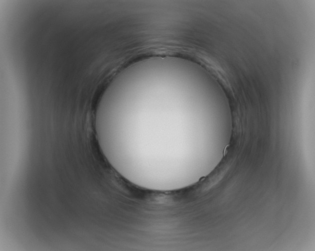 X0000112760325200908201039