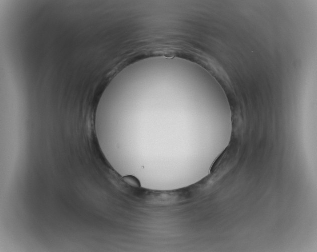 X0000112760329200908201039