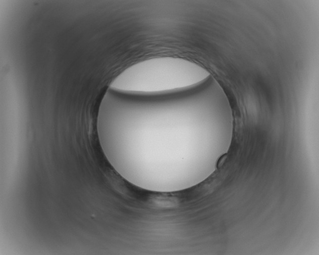 X0000112760331200908201039