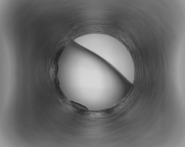 X0000112760332200908201039
