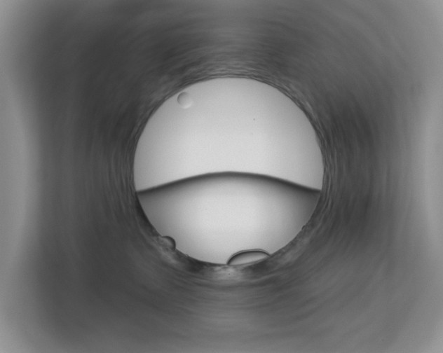 X0000112760335200908201039