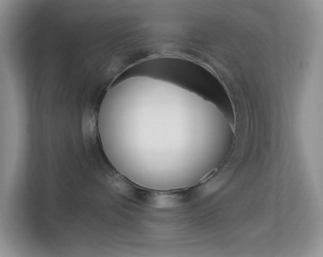 X0000112760336200908201039