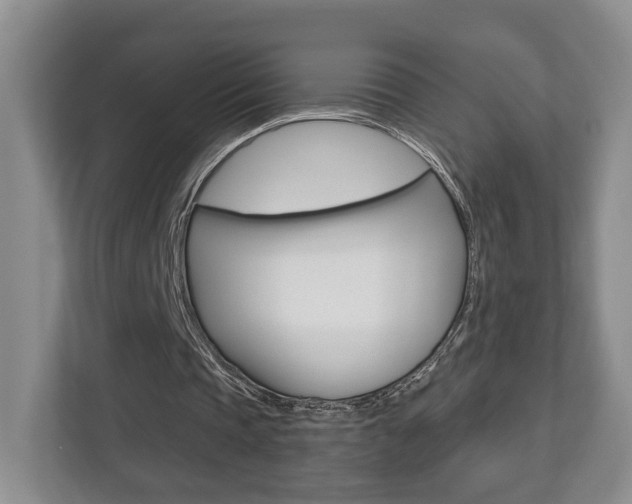 X0000112760337200908201038