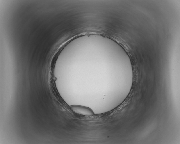 X0000112760338200908201038