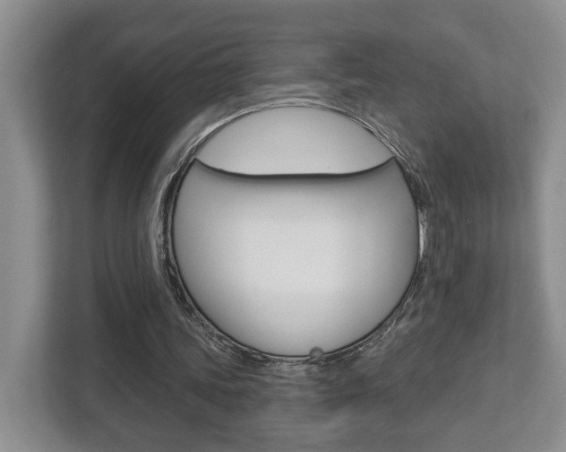 X0000112760339200908201038