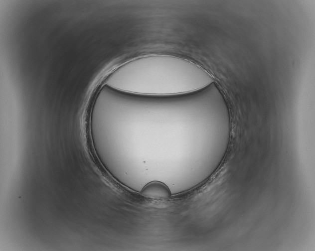 X0000112760341200908201038
