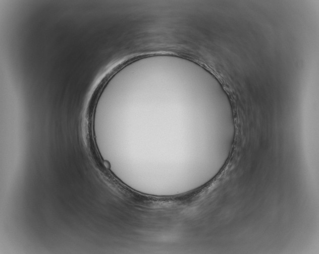 X0000112760342200908201038