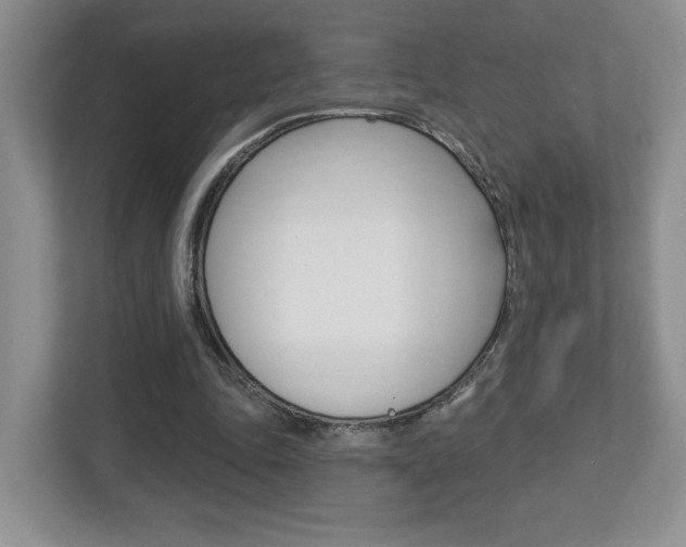 X0000112760343200908201038