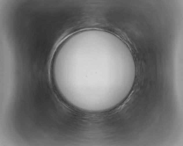 X0000112760344200908201038