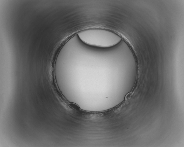X0000112760345200908201038