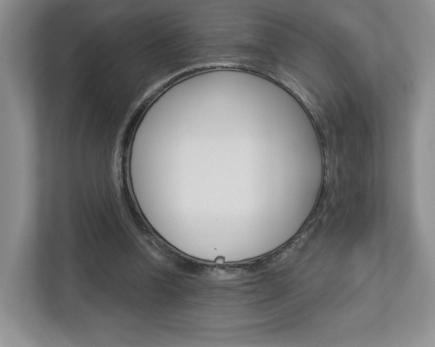 X0000112760346200908201038